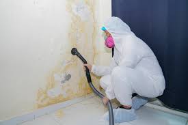 Best Real Estate Mold Inspection  in Somerton, AZ